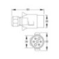 Plug 7 pin - 1409901 Plug 7 pin - 1409901