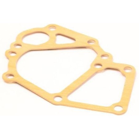 Pump Gasket - 145996900