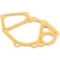 Pump Gasket - 145996900 Pump Gasket - 145996900