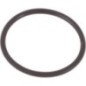O-ring - 14453881