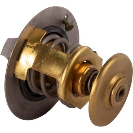 Thermostat - 145206230