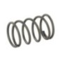 Valve spring - 14751ZL8000 Valve spring - 14751ZL8000