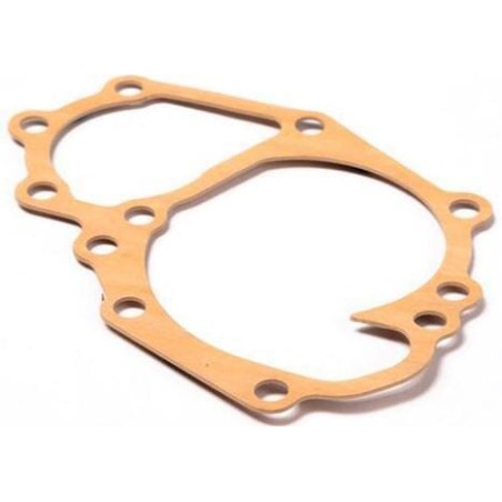 Pump Gasket - 145996910