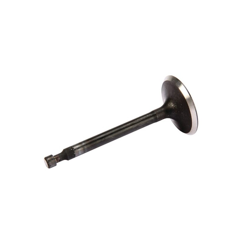 Intake valve - 14711Z0A000