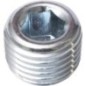 Plug - 1442560X1N Plug - 1442560X1N