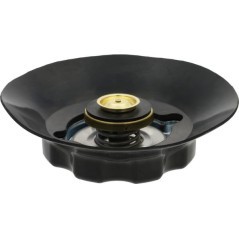 Radiator cap - 1500626C92N