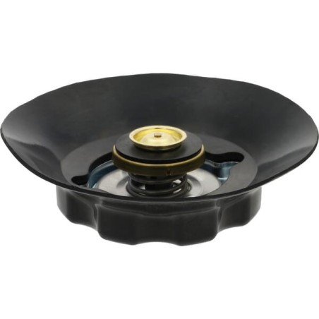 Radiator cap - 1500626C92N