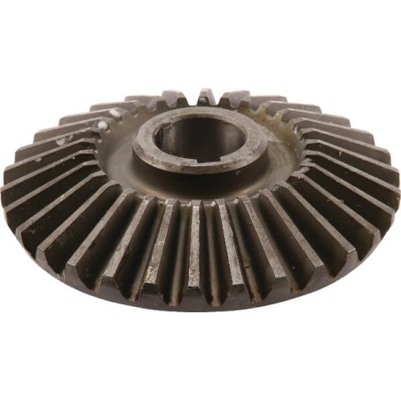 Main drive bevel gear - 1538971