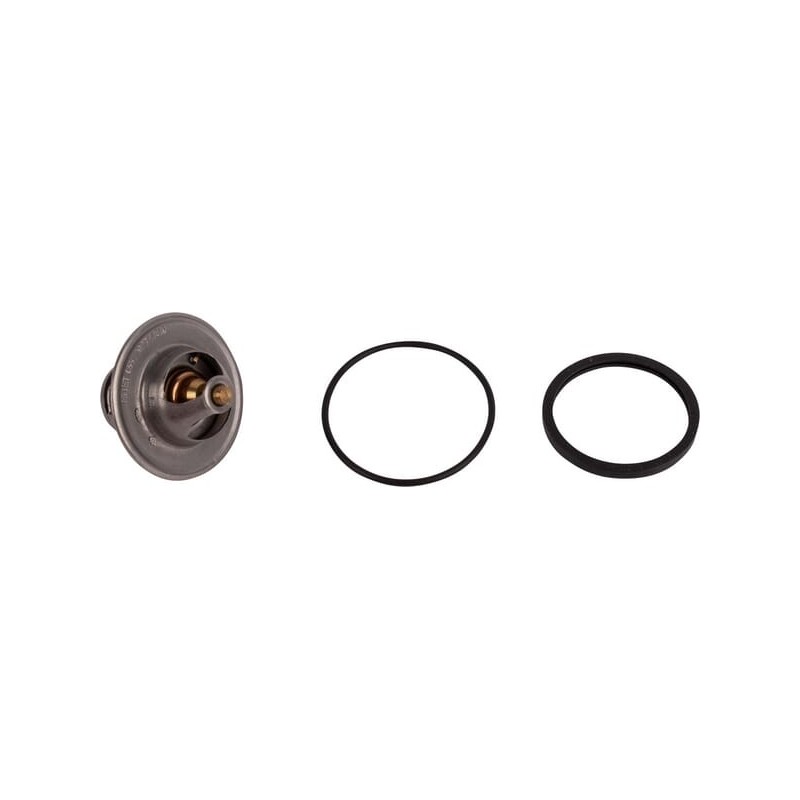 Termostat - 1545173010N