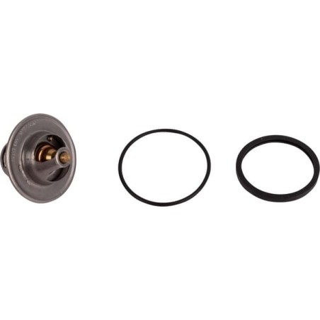 Termostat - 1545173010N