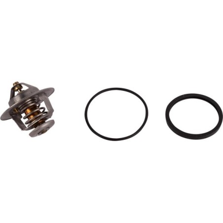 Thermostat - 1545173010N