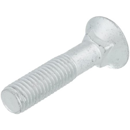 Schraube M12x55 - 152263DW