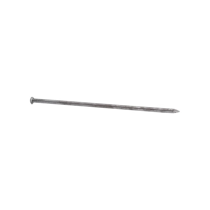 Common nails, 12 inch - 1545130090 Common nails, 12 inch - 1545130090