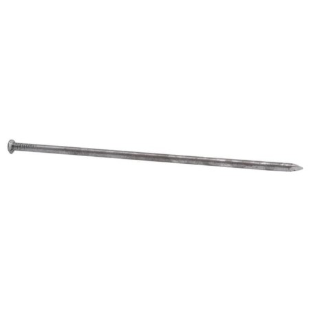 Common nails, 12 inch - 1545130090