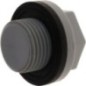 Drain cap assembly - 15550Z0A810