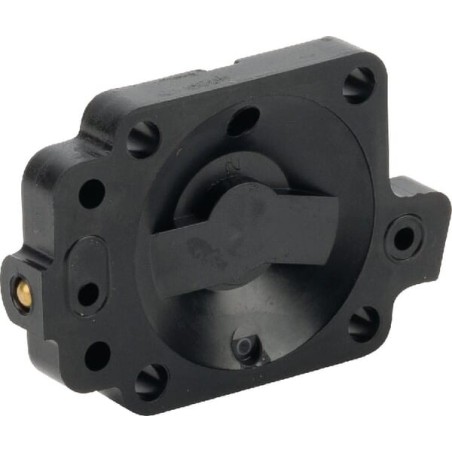 Body - 161602089