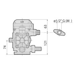 AR 202 SP SGC BlueFlex - 16280AR