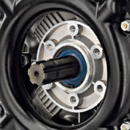 AR 280 bp AP C/C BlueFlex - 16272AR
