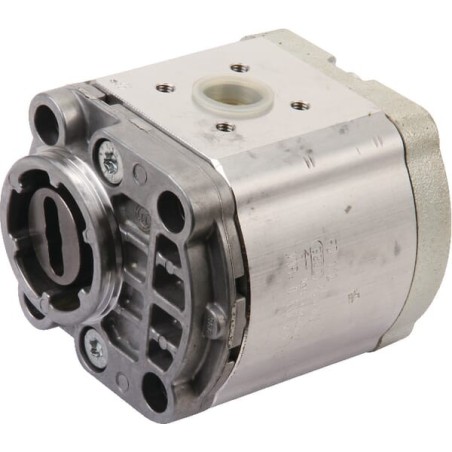Hydraulic Pump - 161100130025