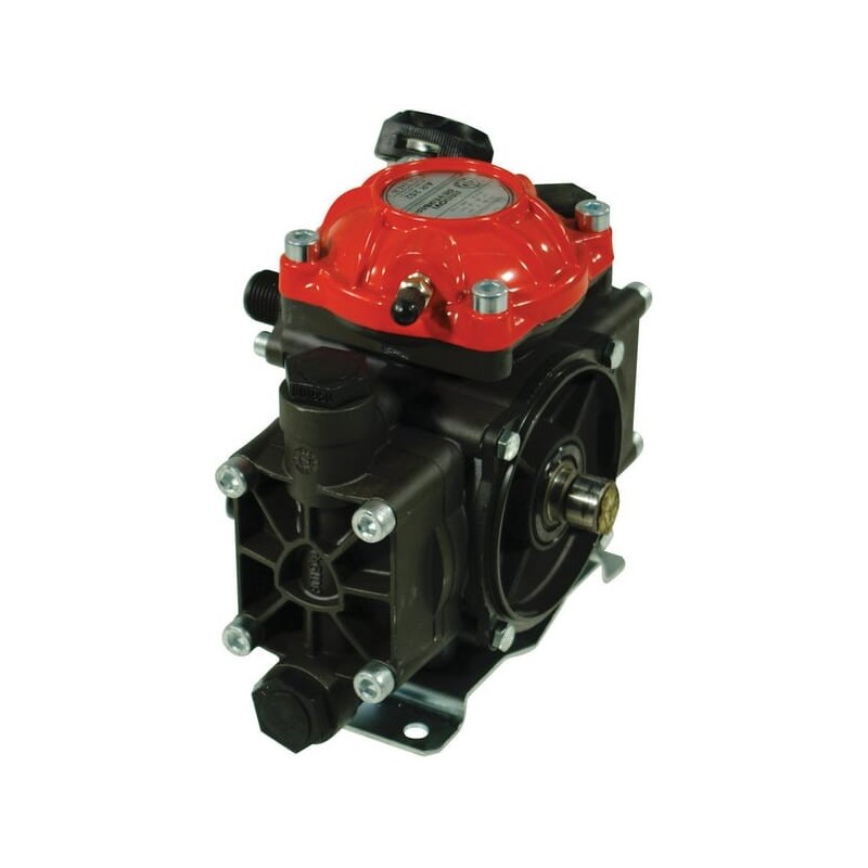 AR 252 SP SGC BlueFlex - 16281AR AR 252 SP SGC BlueFlex - 16281AR