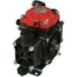 AR 252 SP SGC BlueFlex - 16281AR AR 252 SP SGC BlueFlex - 16281AR
