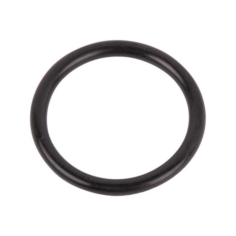 O-ring - 167269 O-ring - 167269