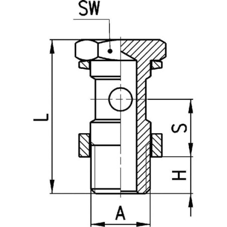 Banjo bolt single - 16350118