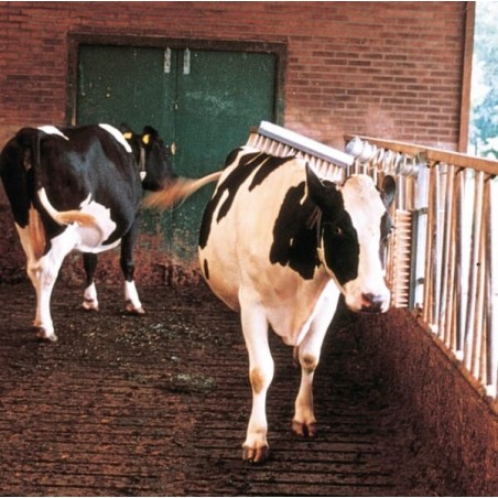 Cattle brush - 1641022002