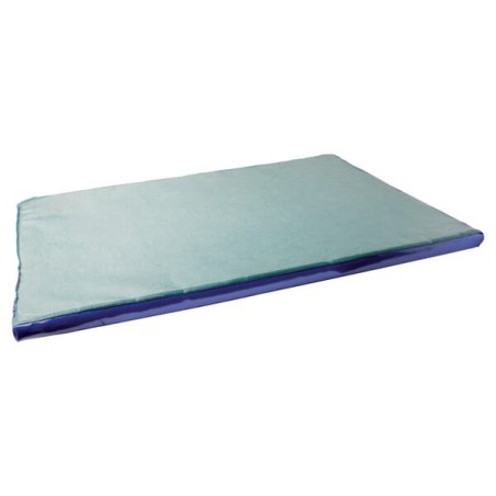 Disinfection mats and trays – produkty dostępne w rolniczeczesci.pl