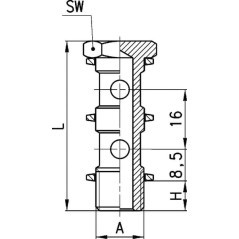 Banjo bolt double - 16310214
