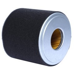Cyclone air filter - 17210Z1C781