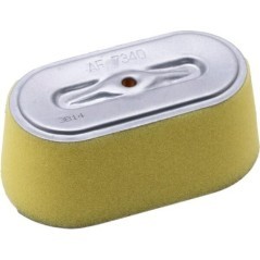 17210734003 Honda, Filter 