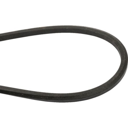 V-belt HAA 102.50 - 1725208SM