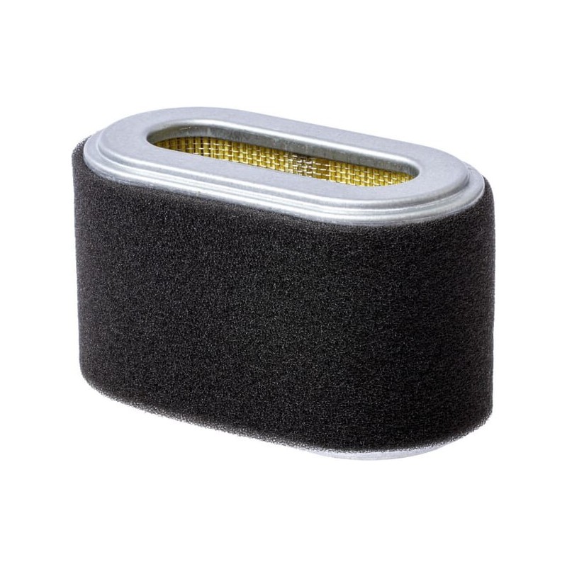 Air filter - 17210ZF5010 Air filter - 17210ZF5010
