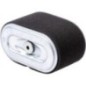 Air filter - 17210ZF5010 Air filter - 17210ZF5010
