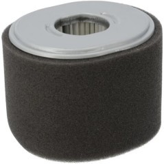 Air cleaner element complete - 17210Z5TW00