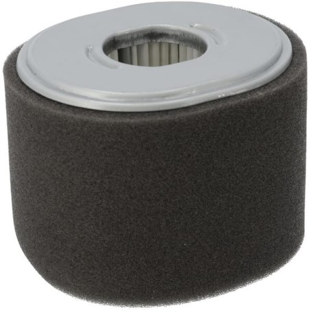 Air cleaner element complete - 17210Z5TW00