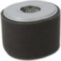 Air cleaner element complete - 17210Z5TW00