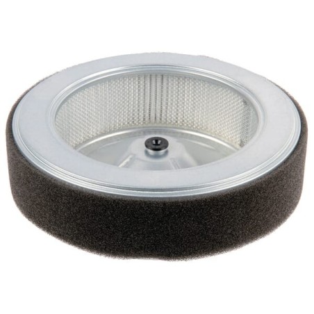 Luftfilter - 17210Z6L010
