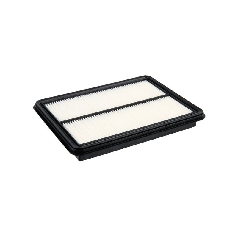 Air filter - 17210Z6M010