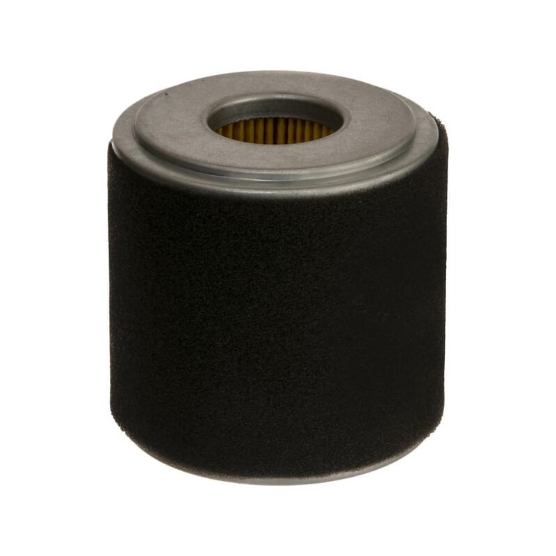 Cyclone air filter - 17210Z0V781