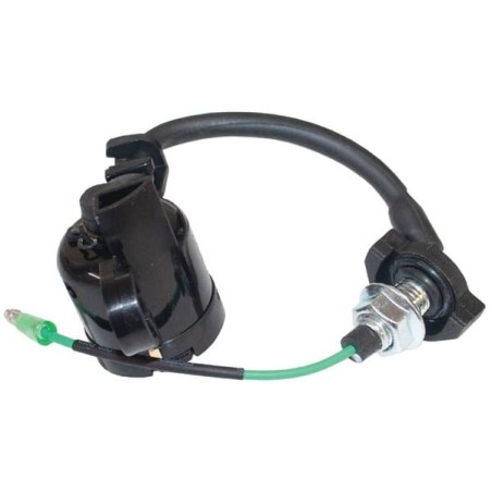 Oil switch sensor assembly - 1709909S