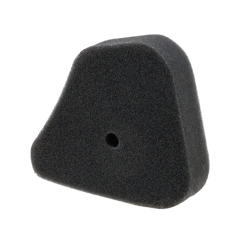 Air Cleaner element - 17211ZG1750 Air Cleaner element - 17211ZG1750