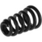 Spring-coni .947 - 1717051SM Spring-coni .947 - 1717051SM