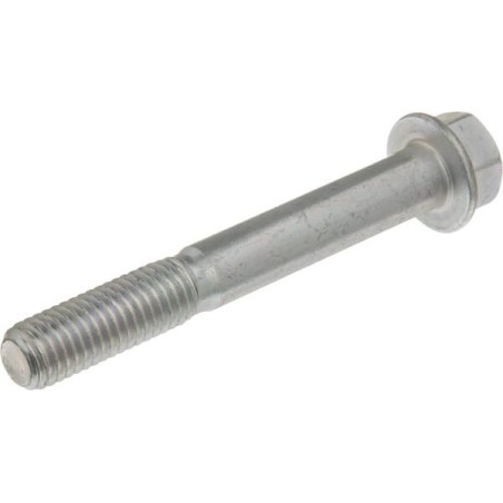 Bolt 10 x 75 - 168T2099990