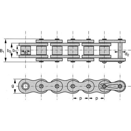 Roller chain 16B-1 Rexplus - RVS - 16B1RP
