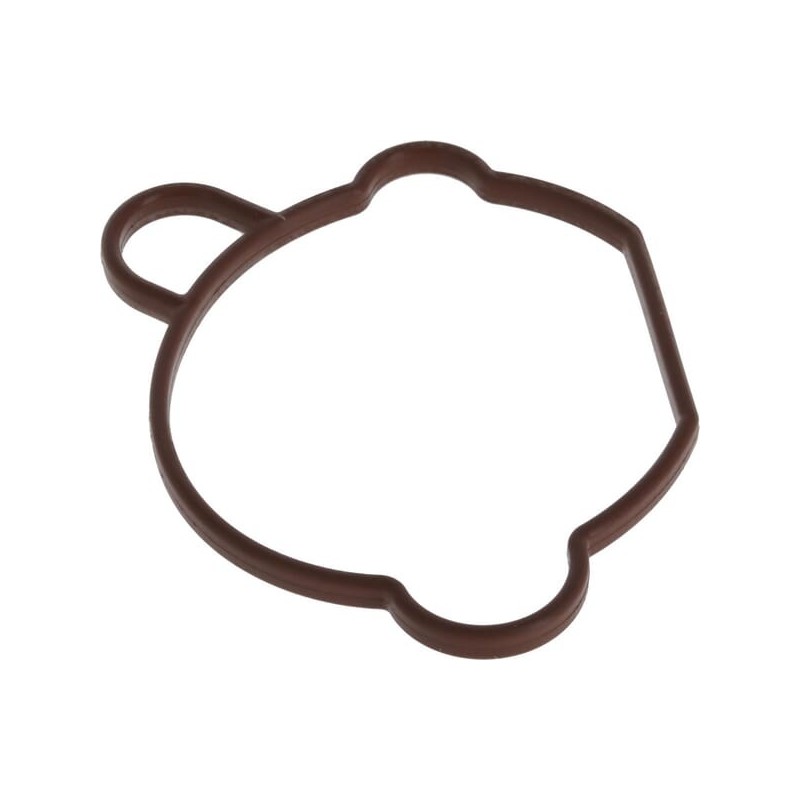 Carburettor gasket - 1704301730001 Carburettor gasket - 1704301730001