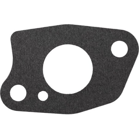 Carburettor gasket - 1704301380001