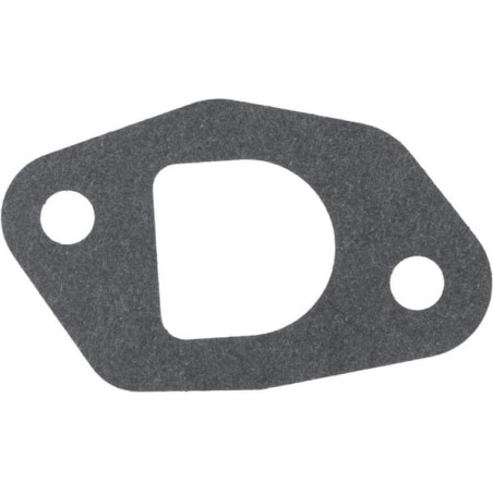 Carburettor gasket - 1704301480001