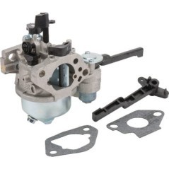 Carburettor with gaskets - 1785305S